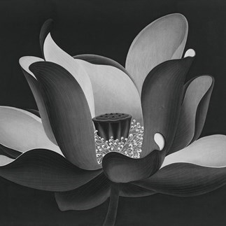 Chen Qi, Dance of Lotus, 1999;  Woodblock Print, 147cm×147cm