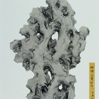 Peng Wei, Rock Cave on Show No.5