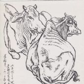 景頗牛  24×26cm    紙本鋼筆  1982年