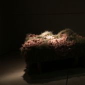 《他們知道自己的身份》2007  硅膠 紗布 300X300cm