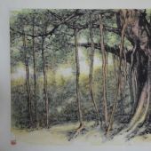 樹林 70×104cm 紙本彩墨 2008 王琦美術(shù)博物館藏