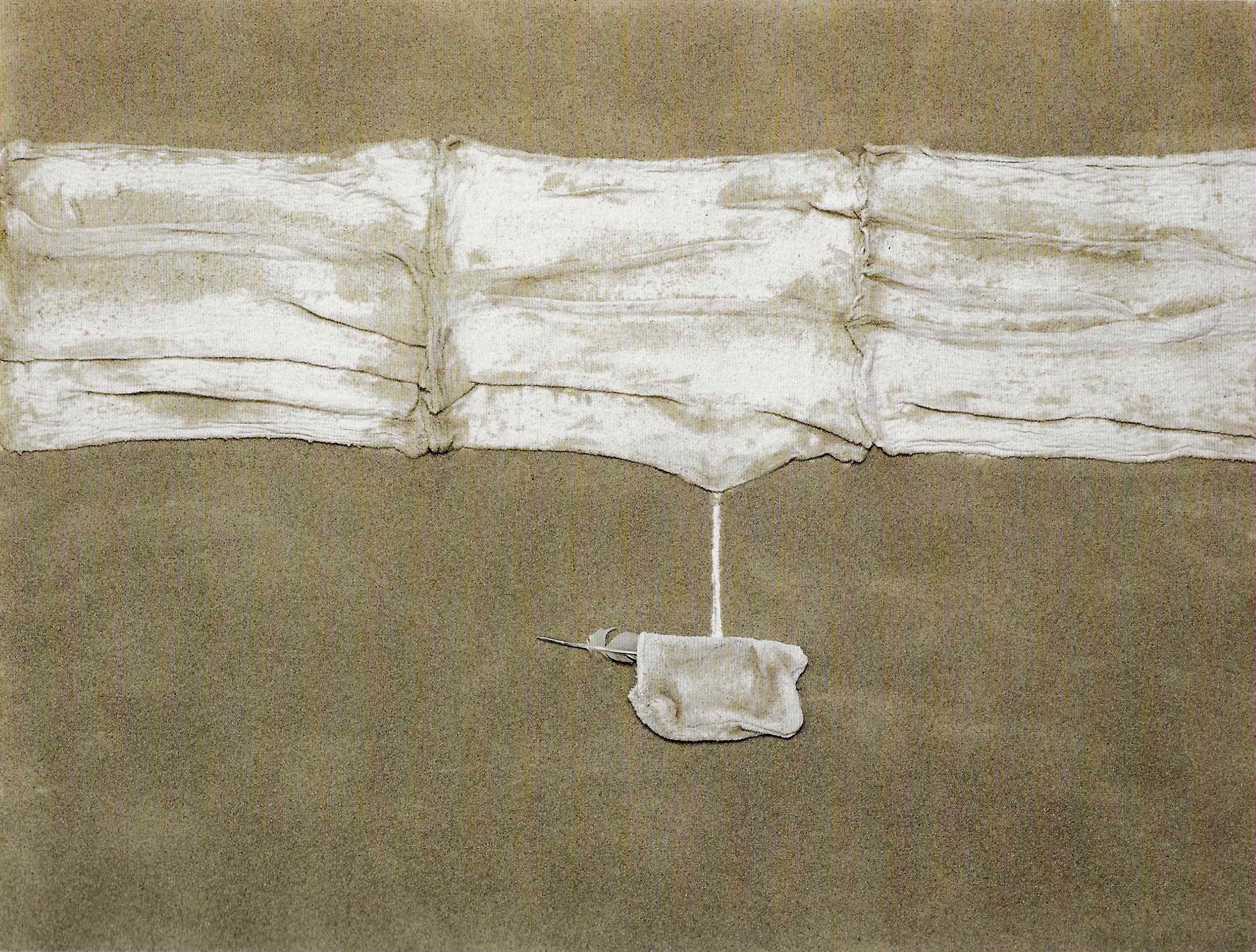 1. 與沙土依存  102x76cm  綜合材料  2003.jpg