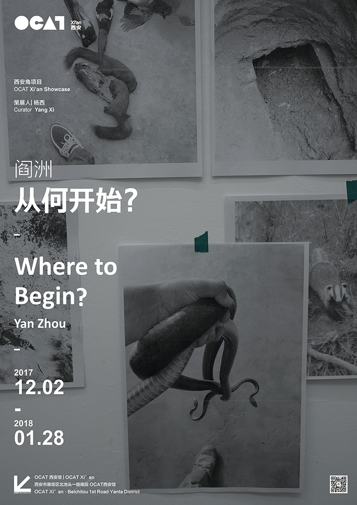 7. OCAT Xian exhibition poster 閻洲展覽.jpg