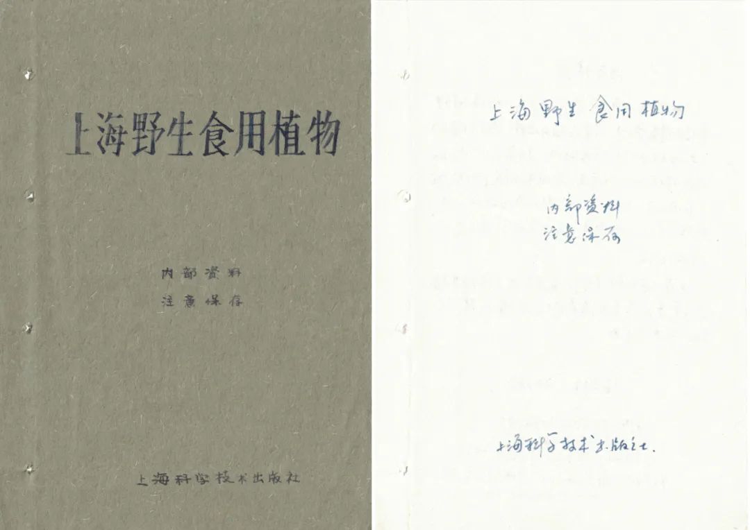 Zheng Bo, Survival Manual I (Hand-Copied 1961 %22Shanghai’s Wild Edible Plants%22)，2015－1.jpg