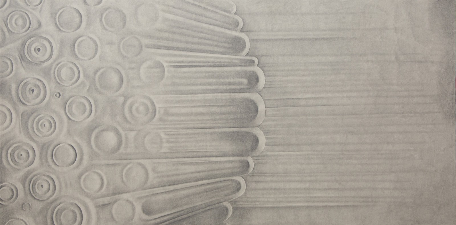 13《皮膚系列》，60 X 120cm，鋁板素描，2010-3.jpg