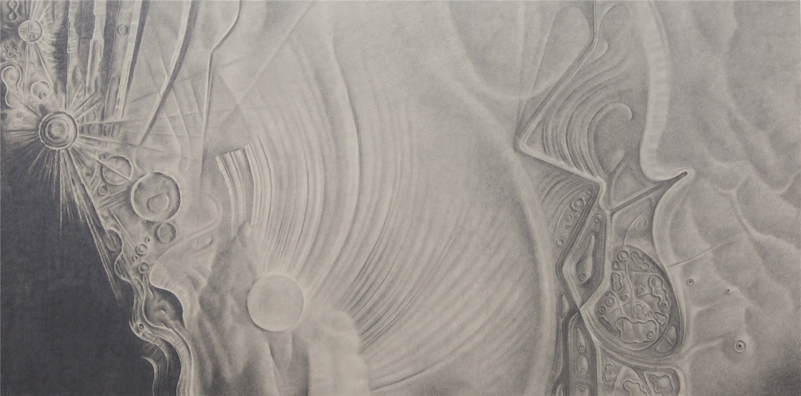 Skin series, 60cmX120cm, Aluminum plate sketch. 2010.jpg