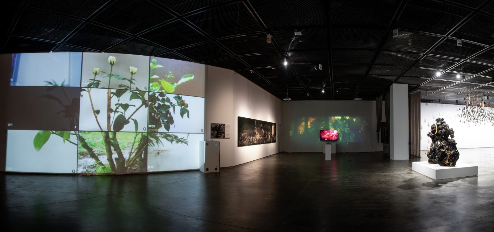 13 “The Tree of China”, Zhang Pan, mixed media installation video, 400×400cm, 2020.jpg