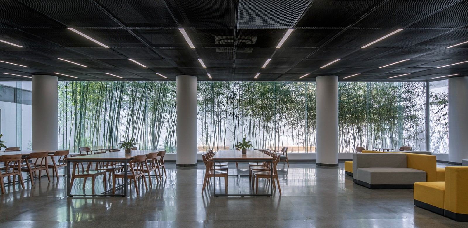 25從流通閱覽室可以看到庭院景觀  Courtyard landscape viewed from the circulation reading room.jpg