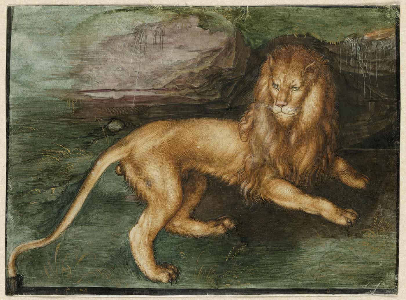 A Lion, 1494 by Albrecht Dürer. Photograph ? Photo Scala, Florencebpk, Bildagentur für Kunst, Kultur und Geschichte, Berlin.jpg