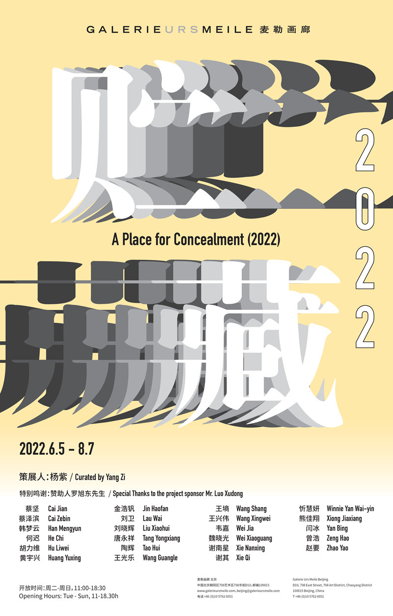 Poster of A Place for Concealment.jpg