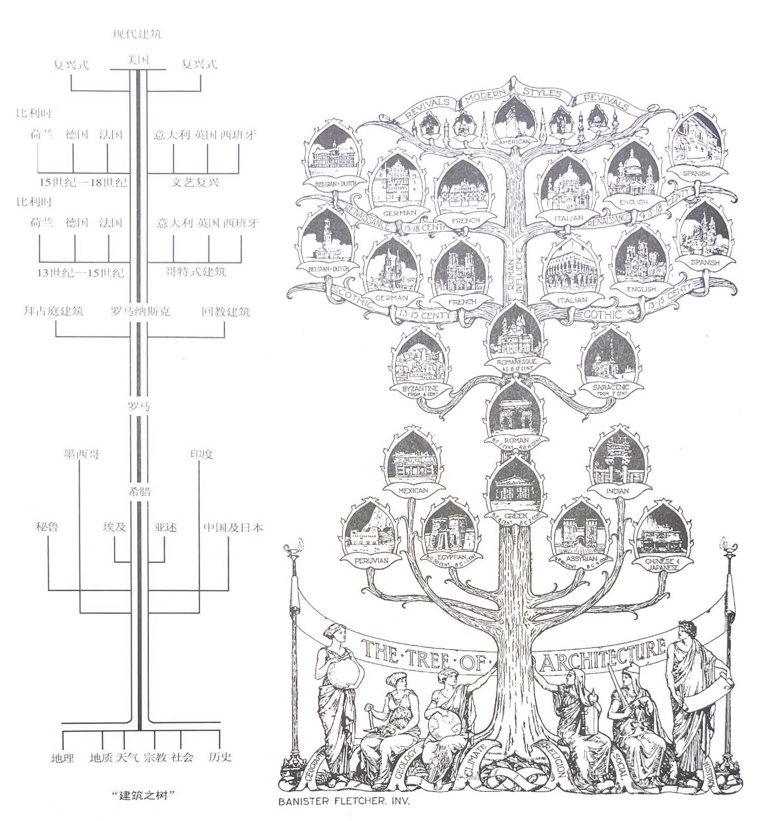 5 建筑之樹.JPG