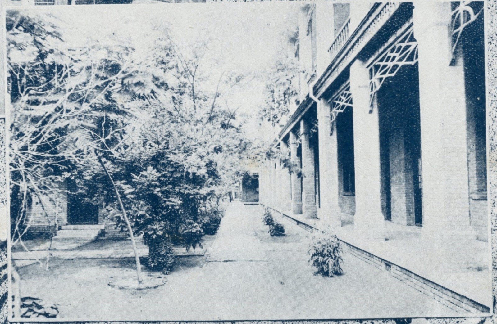 03 Campus View of the Peiping National School of Fine Arts, 1928.jpg