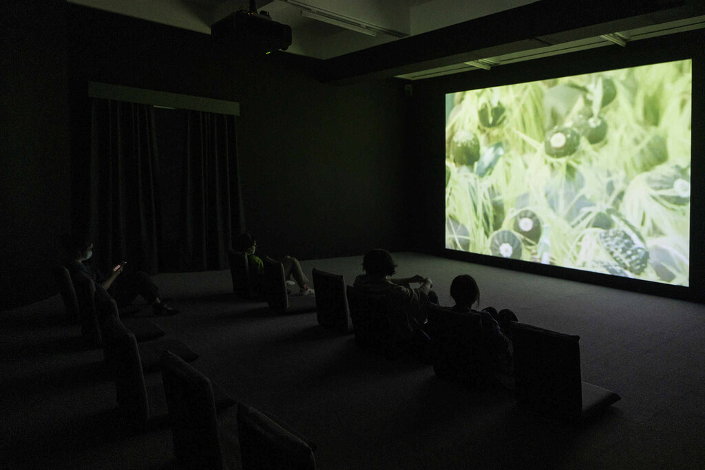 Installation view of Trinh T. Minh-ha Traveling in the Dark, Rockbund Art Museum, Shanghai, 2022..jpg