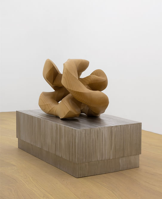 Wang Jianwei, Emergent No.1, 2021. Mixed media, Stainless steel, wood, fluorocarbon paint, L200xW100xH140cm..jpeg