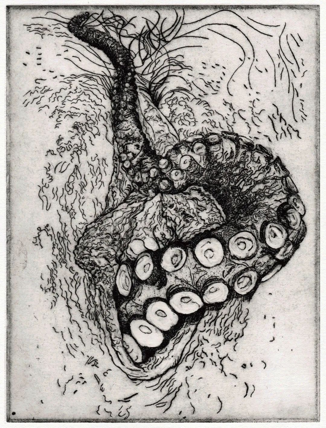 斯蒂芬斯·科萊特 《 雌雄同體 》30× 40 cm 蝕刻.jpg