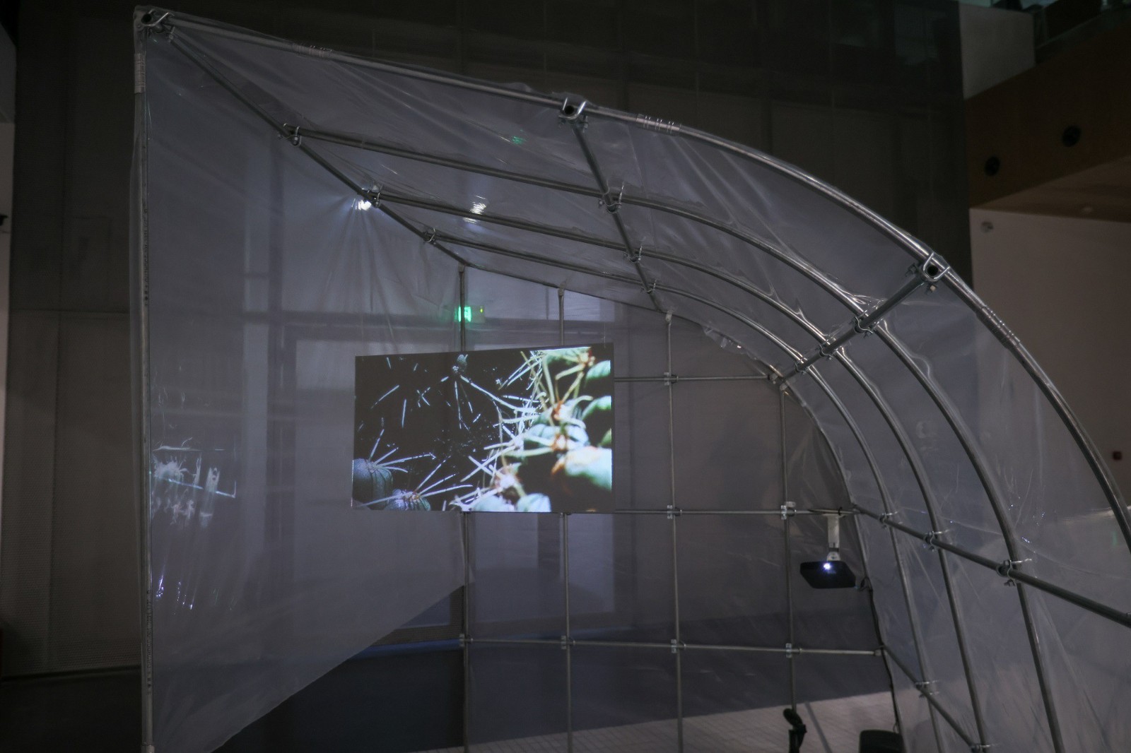 Installation View of “Zhang Ruyi Speaking Softly”02.jpg