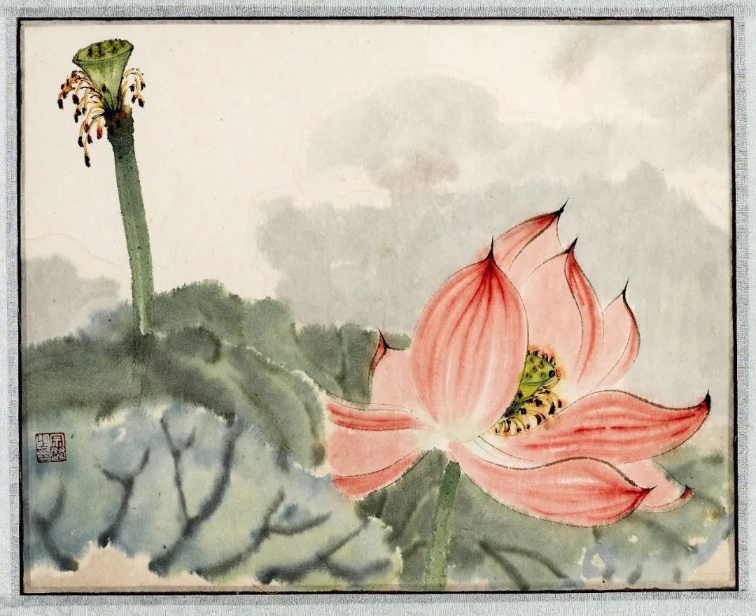 24孫宗慰《荷（二）》紙本彩墨，28×34cm，1948年，家屬提供.jpeg