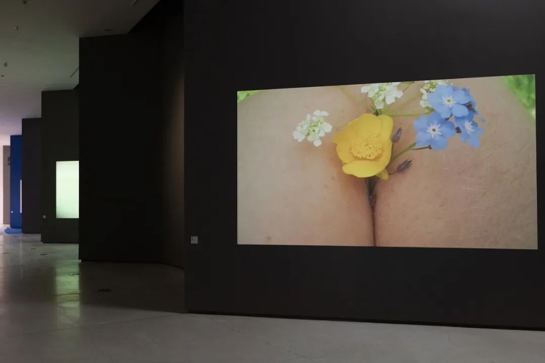 勞拉·普羅沃斯特（Laure Prouvost ）作品在紅磚美術(shù)館展覽現(xiàn)場(chǎng)，2023.jpg