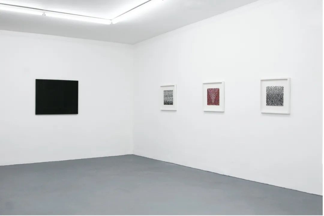 “Newcomer”  邵巍個展 展覽現(xiàn)場 杜塞爾多夫，德國，2011.jpg