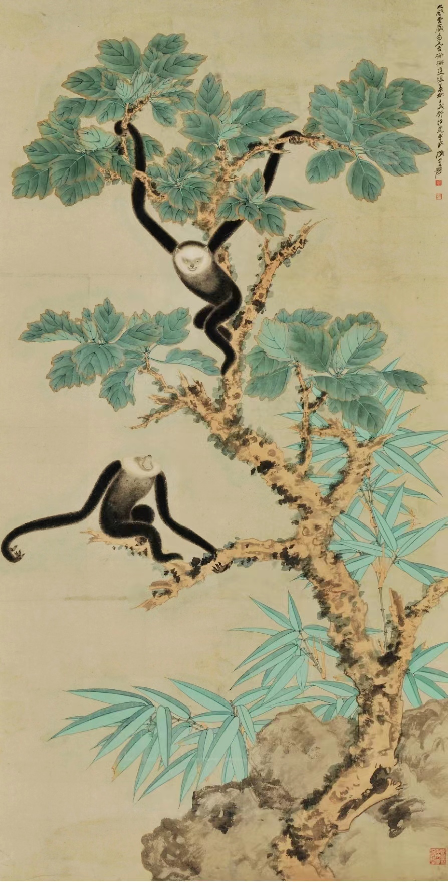 張大千 檞樹雙猿 20世紀(jì) 紙本設(shè)色 275X107cm 中央美術(shù)學(xué)院美術(shù)館藏.jpg