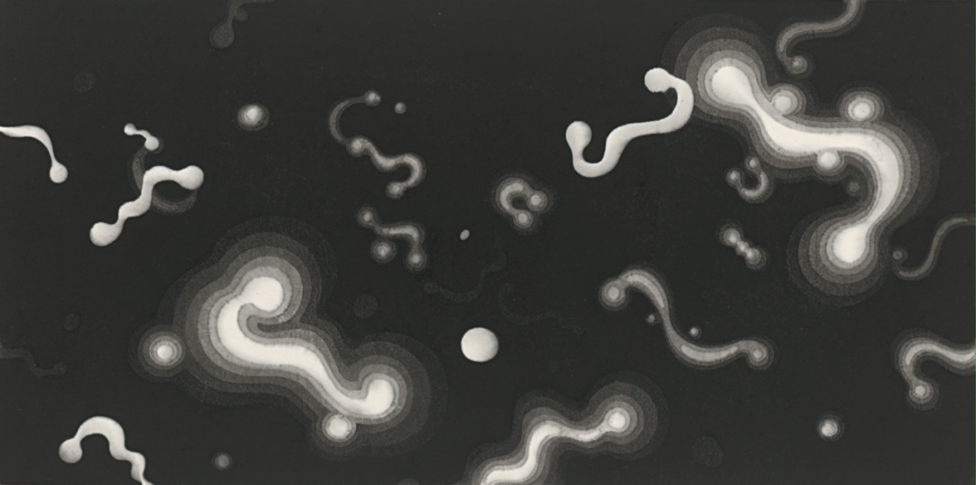 陳琦，《時(shí)間簡譜》，水印版畫，30x60cm，2011.png