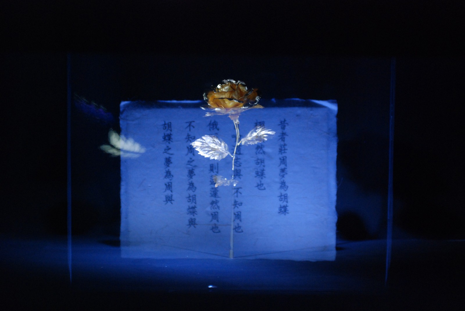 11《蝶域》，互動(dòng)影像裝置，科技藝術(shù)中心，紐約，2003年.JPG