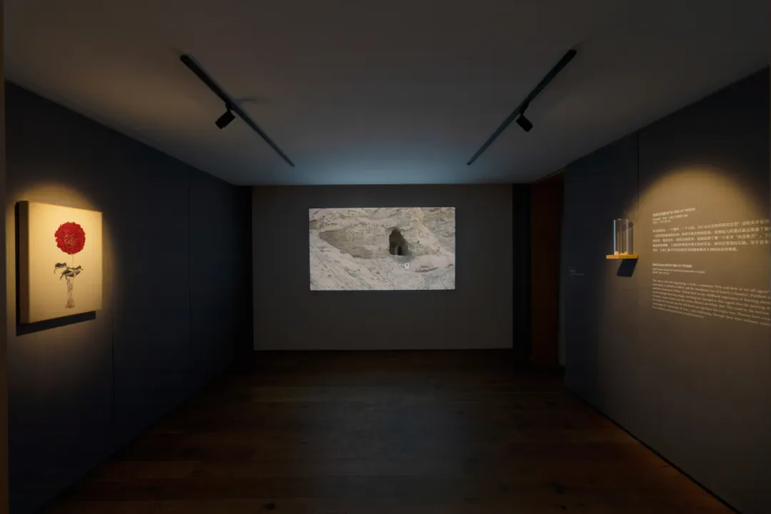 06 Installation View of “Observing My Distant Self Kang Chunhui”, 2024.5.25-8.18, INKstudio.png