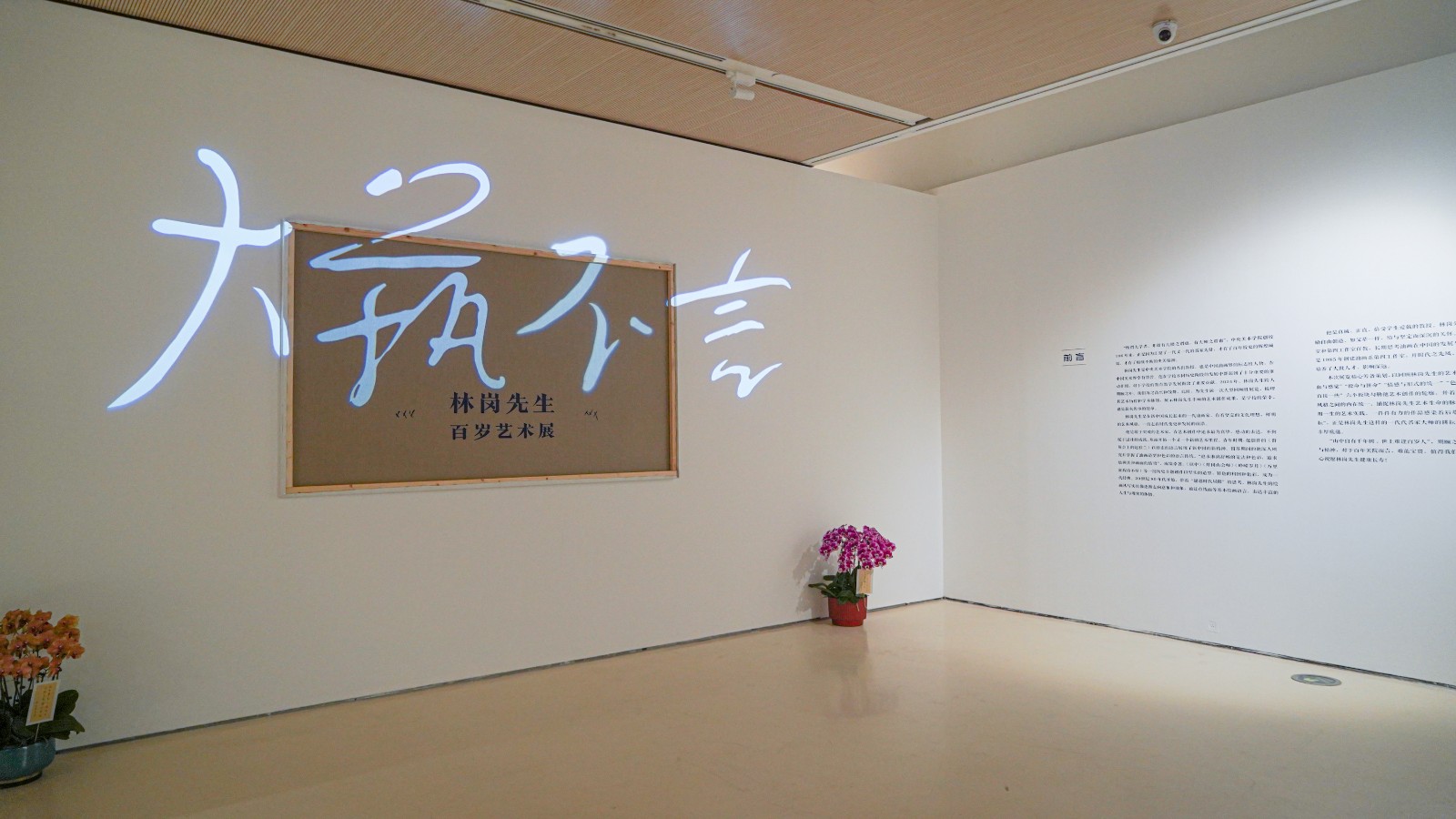 01 Exhibition View of “Great Art Needs No Talk The Centennial Retrospective of Lin Gang”.jpg